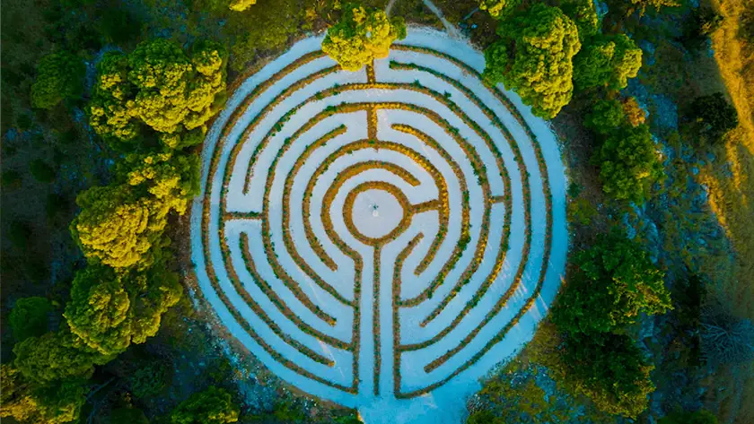 Aerial view of a circular hedge maze representing the complexity of international PRO royalty data distribution